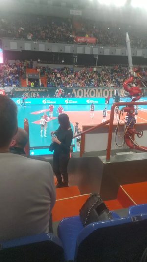 посмотрим волейбол