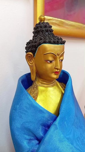 Шива ламбсам