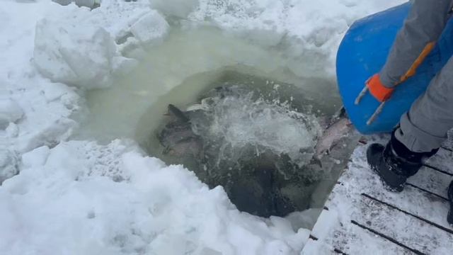 copy_9BCAF6A4-9BC0-421A-B7E1-A6A261659826 смотреть онлайн