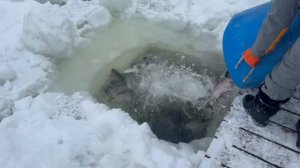 copy_9BCAF6A4-9BC0-421A-B7E1-A6A261659826