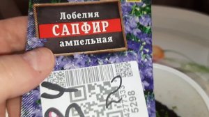 Мои комнатные парники и что же  в них растёт?