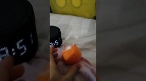 ещё один в компанию Dragon и хомки