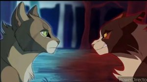 КОТЫ ВОИТЕЛИ:яблочник/Эдит:_) оцените в комментариях