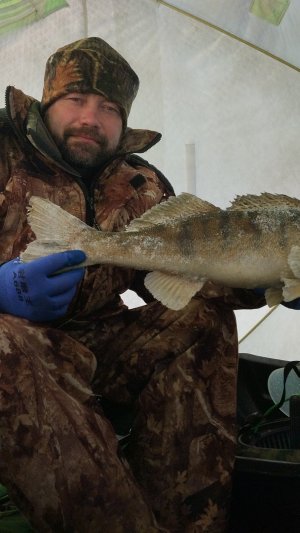 Судак и лещ