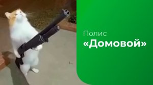 Полис «Домовой». Животные атакуют