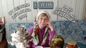 От пенсии осталось 2000 на месяц .Надо дожить до следующей.