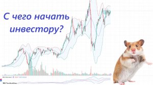 ⚡️С чего начать инвестору на рынке? ► Читаем Смартлаб