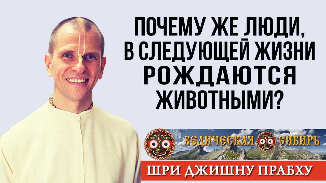 Почему же люди, в следующей жизни рождаются животными?