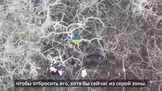 ❗🇷🇺🇺🇦⚡️Командование "Юг" ВСУ врет об успехах в Запорожье смотреть онлайн