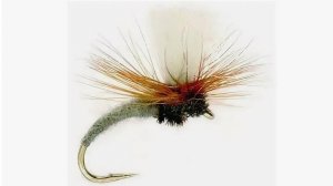 Распаковка посылки с мушкой PFG Klinkhammer