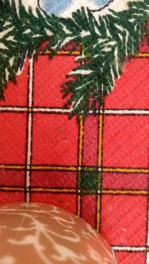 Душевые песни 4