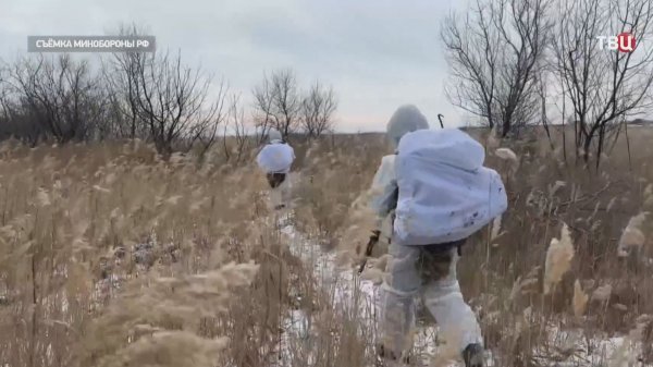 Стало известно о планах Киева использовать Telegram в военных целях