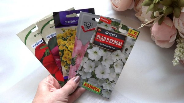 Первые посевы. Сею Петунии. Мой любимый способ🔥 Всегда получается👌