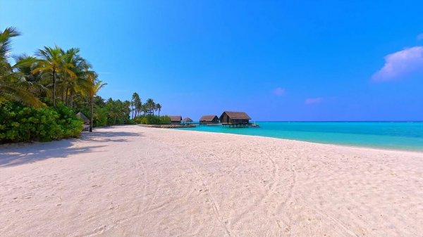 KISS ME - $ TIME $ - ПРИПОДНЯТАЯ