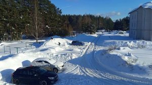 Всё как обычно 🐾💃