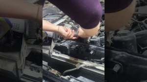 Замена магнита фаз ГРМ на автомобиль ауди А4 b8