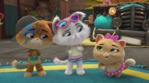 44 Котёнка _ Великое спасение робин и другие истории