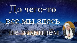 До чего-то все мы здесь не доживём  стихотворение Вера Матвейчук