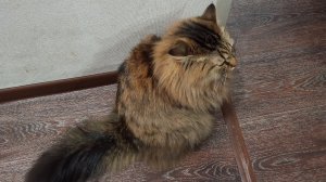 выбираюсь из тюрьмы 1 серия 1 сезон