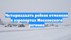 Четырнадцать рейсов отменено в аэропортах Московского региона