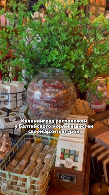 Калининград — город с морским воздухом и особой атмосферой