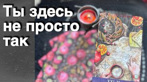 ❗️Если Ты нашла это Видео - ответ рядом...