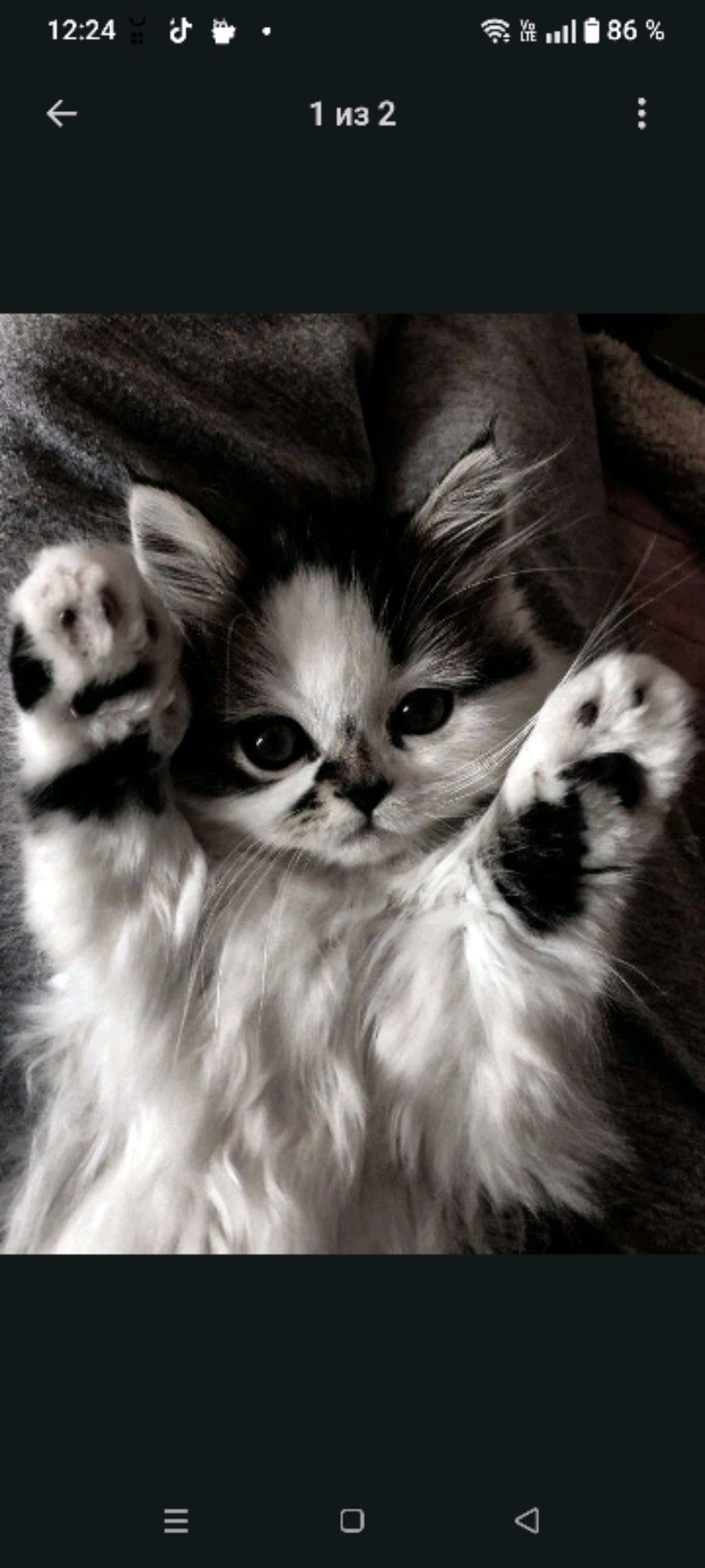 Бим бум го птптпттмьмиоотолабвлршслыбалпдаазаюа Бим бум го птптпттмьмиоотолабвлршслыбалпдаазаюа