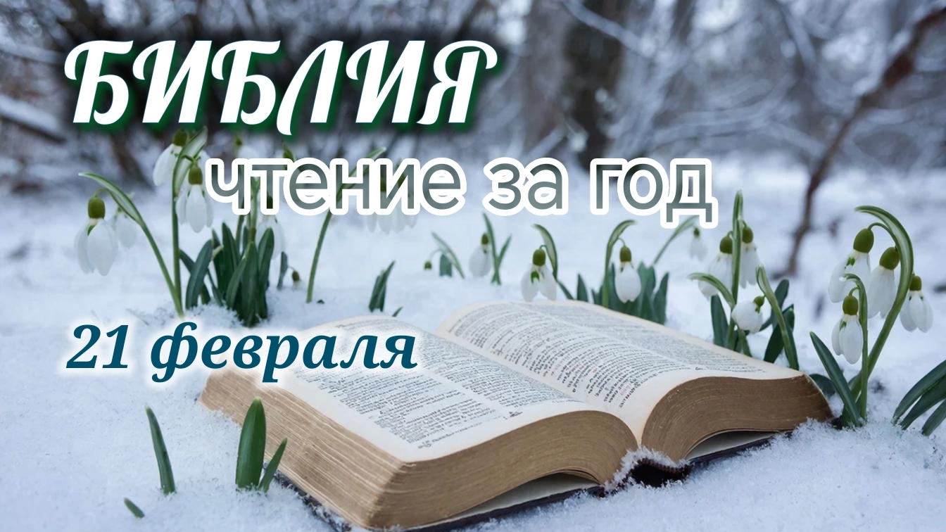 Библия - чтение за год, 21 февраля. Ежедневное чтение Библии смотреть онлайн