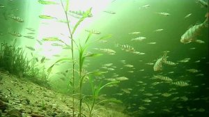 1000009999.mp4Волга гл.2м.21.02.2026г.