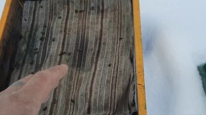 21,02,2026. даю канди.