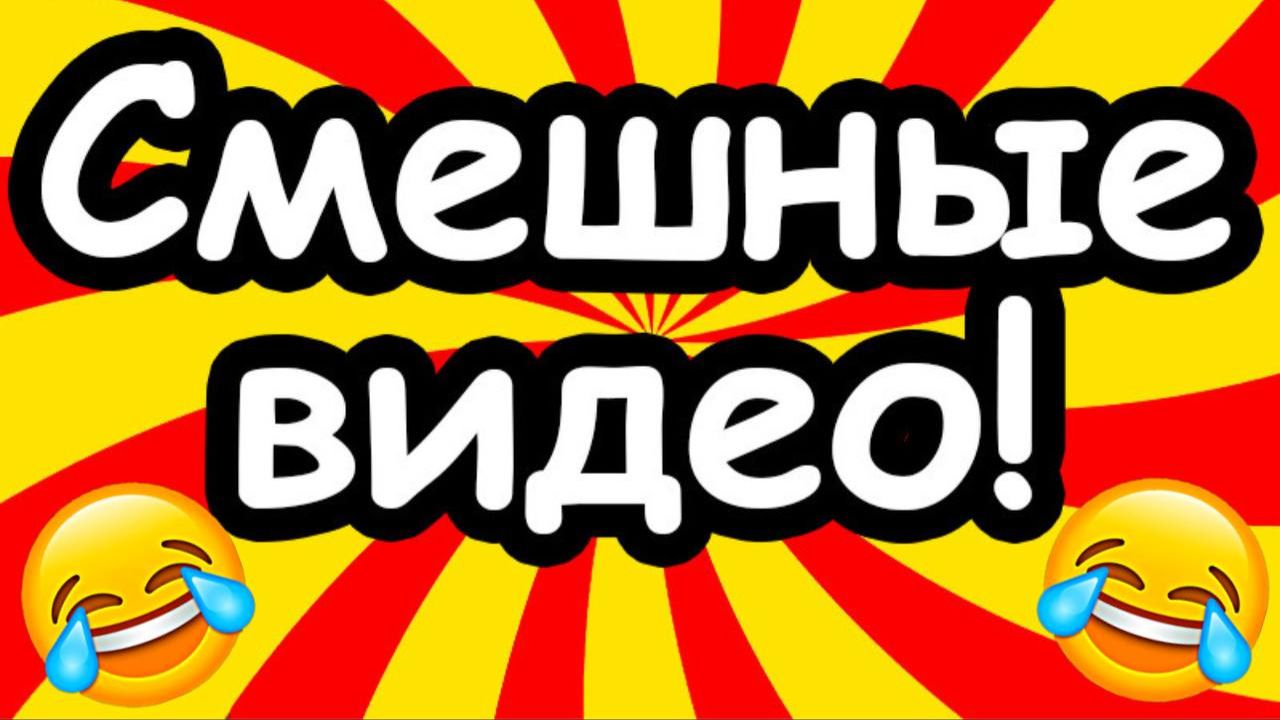 Смешные видео, приколы, мемы года смотреть онлайн