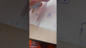 как проводит день Кира