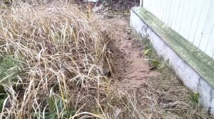 9-Моя новая дача.. второй участок..работаем🤪31.10.-01.11.21.2часть