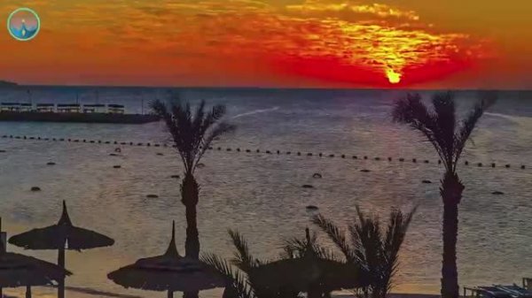 SHAZAM Top 50🏖️Лучшая Музыка 2025🏖️Зарубежные песни Хиты🏖️ Слушать Бесплатно2025 #56