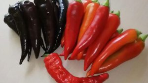 Ура💃 порадовали просроченные семена сладких перцев 🌶😊😊😊