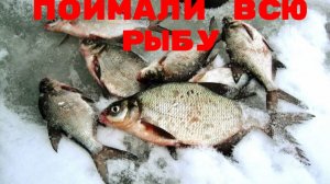 Наловил очень много рыбы. Ловлю ящиками. Гора вкусной рыбы Смотреть Онлайн Без Рекламы