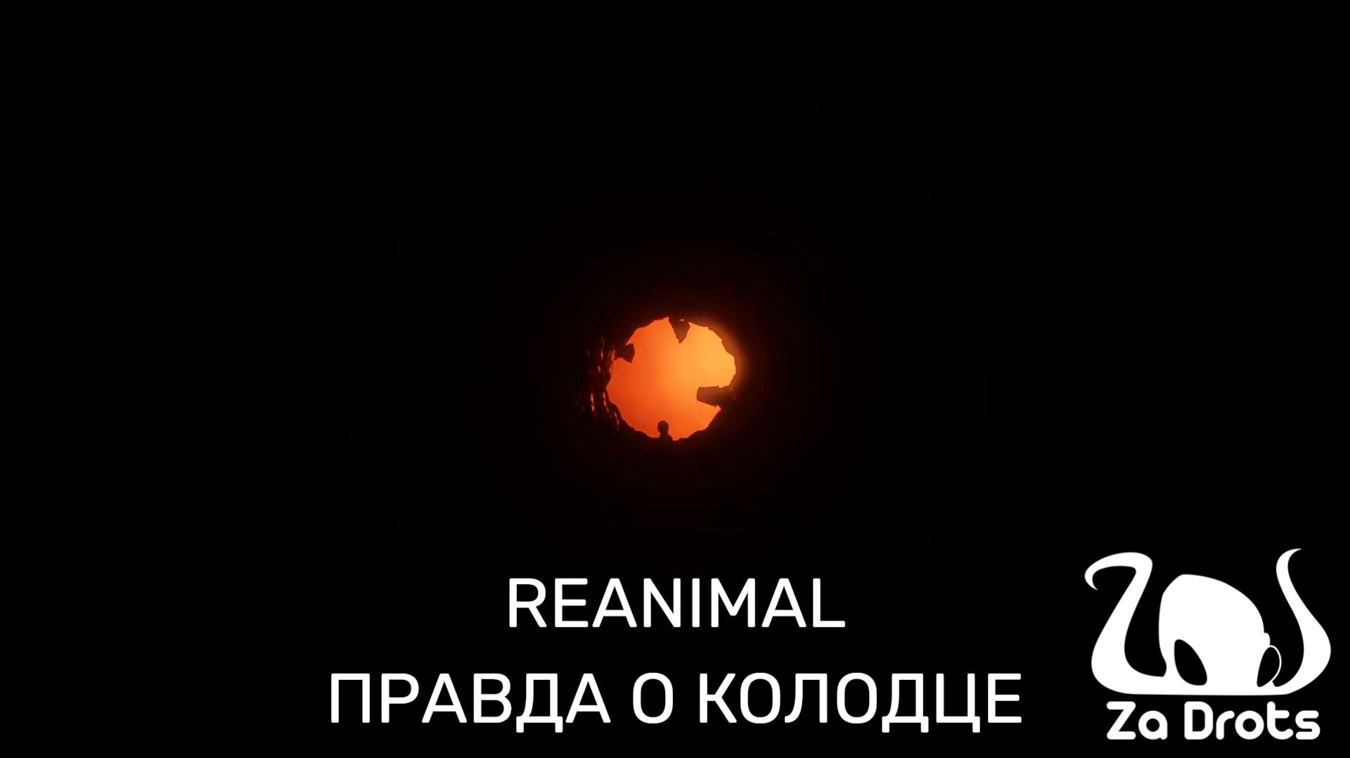 ПРАВДА О КОЛОДЦЕ | ФИНАЛ | REANIMAL #9