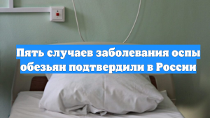 Пять случаев заболевания оспы обезьян подтвердили в России
