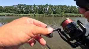 С кормушкой флэт улов крупнее, рыбалка летом 2025