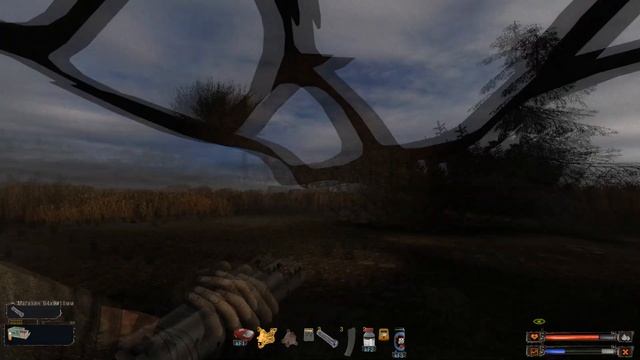 S T A L K E R: Судьба Зоны 0.8.1 Серия 19 Ищем доктора под кислотным дождем...