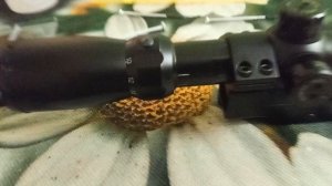 Ремонтируем прицел.