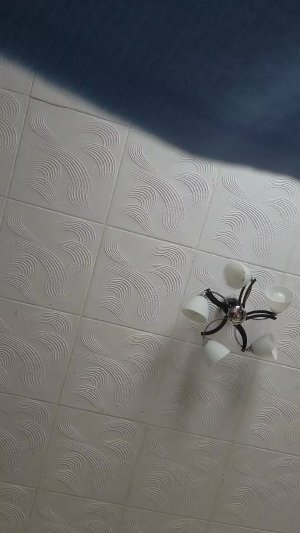 Зима 2026 Год Февраль 21