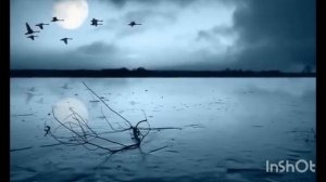 Кино - Сказка