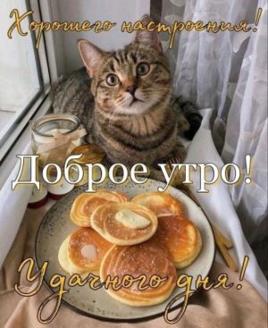 утро