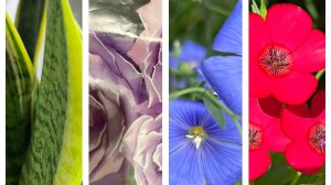 Покупки для сада и дома!