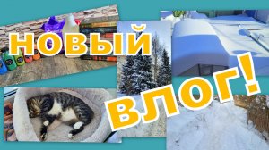 ВЛОГ: ЗАМЕЛО, МНОГО КНИГ В  ПОКУПКАХ (выгодно), ДЕЛА ПУШИСТЫЕ, ВЫХОДНЫЕ!