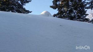 Зимой на снегоходе в тайгу