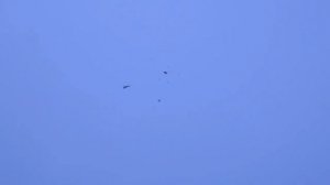 Разбор от бойцов новой «игрушки» ПВО «Елки», несущую не по-детски серьёзную угрозу киевским тыловым