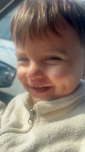 Львиный взгляд 😄