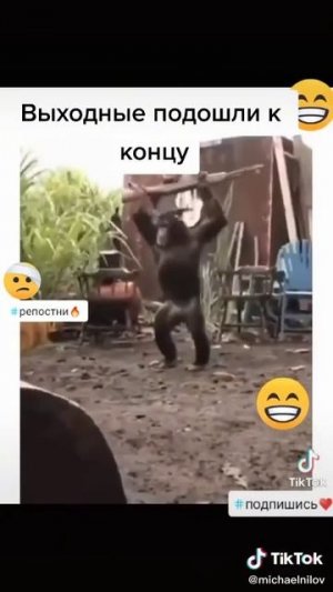 ПРИВЕТ ДРУЗЬЯ А КТО ПОСТУПАЕТ ТАКЖЕ?